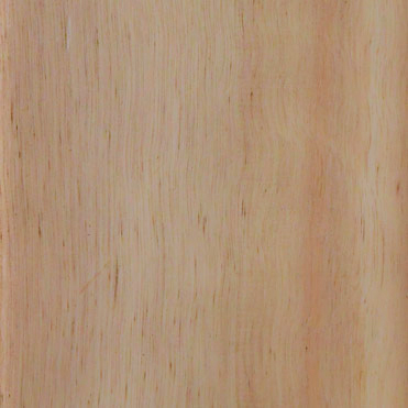 Wood Cladding